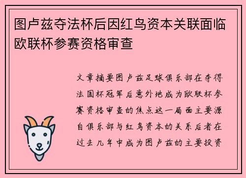 图卢兹夺法杯后因红鸟资本关联面临欧联杯参赛资格审查